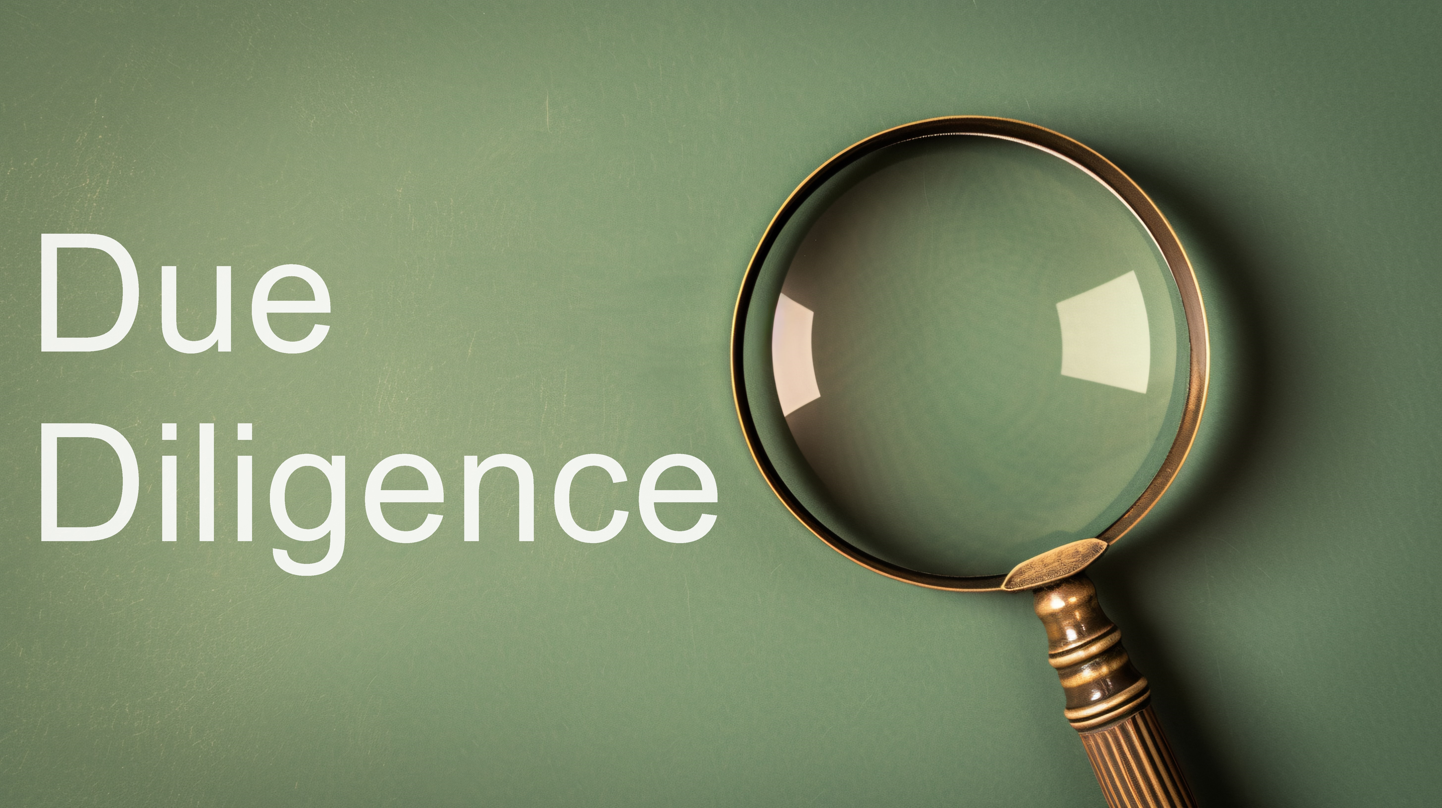 due diligence report