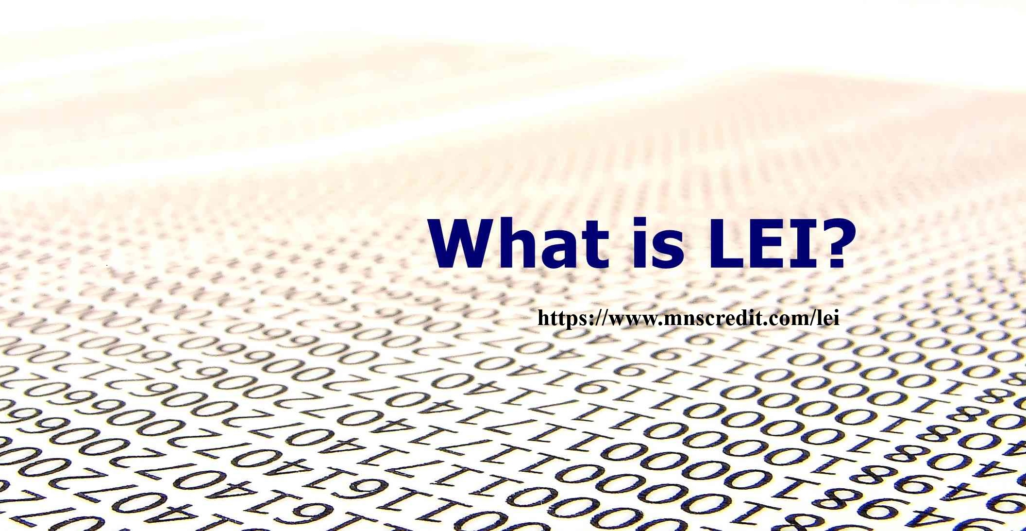 MNS Credit Management Group