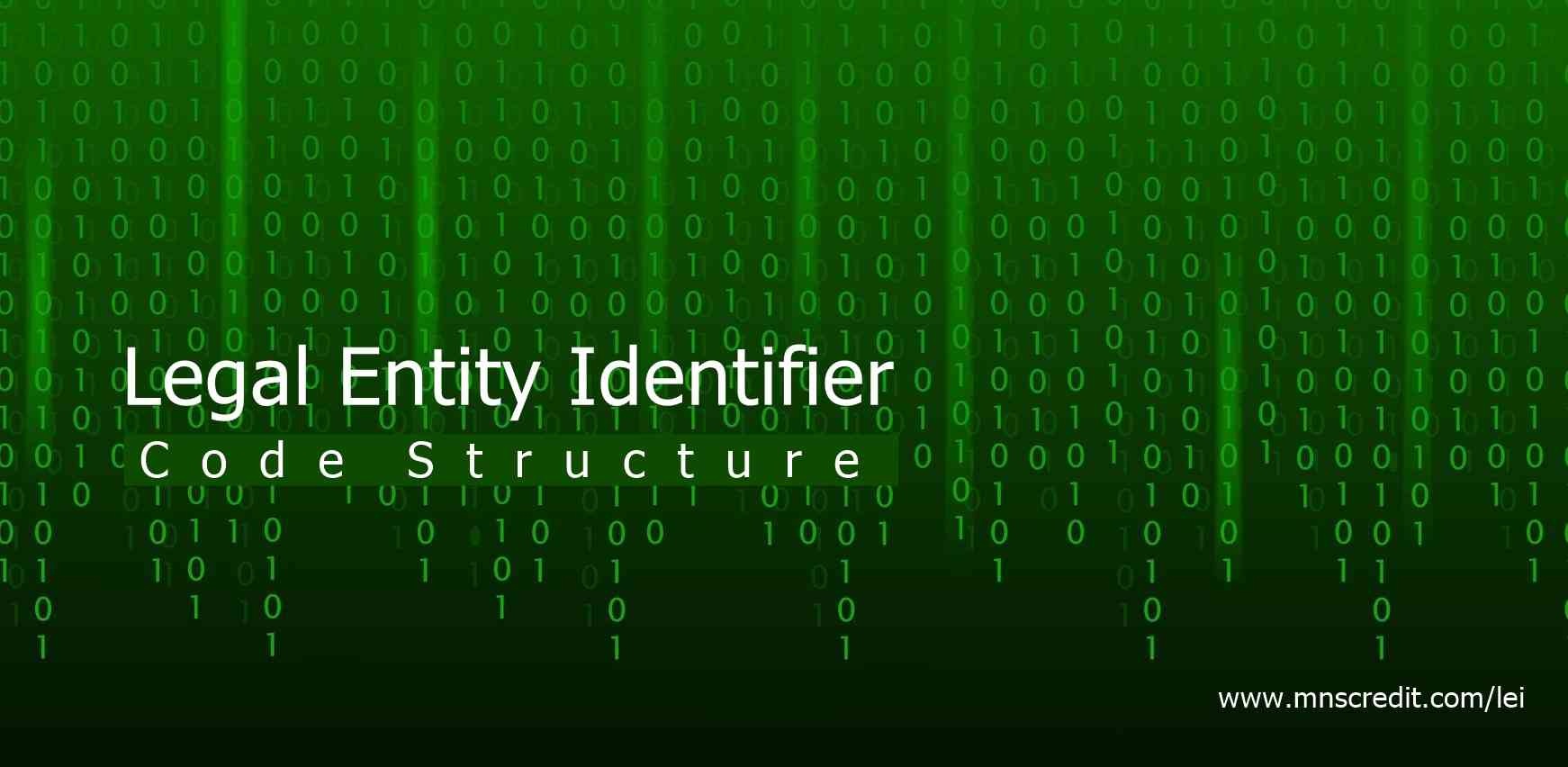 MNS Credit Management Group