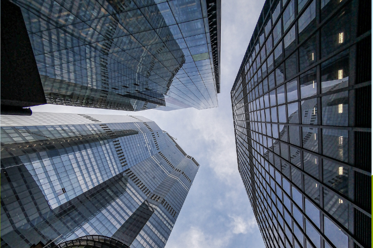 MNS Credit Management Group