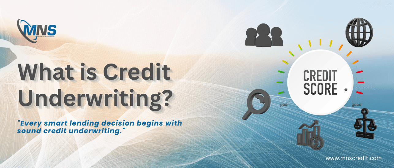 MNS Credit Management Group