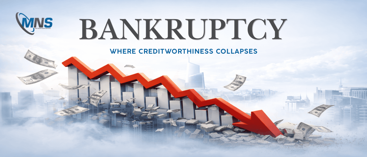 MNS Credit Management Group